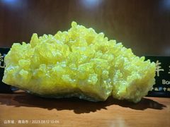 -青岛德国总督楼旧址博物馆