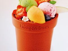 -哈根达斯(宜兴万达店)