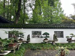 -上海醉白池公园