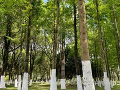 -重庆中央公园(渝北区)