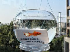 -知美术馆