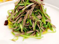 -小贝壳酒楼(经九路店)