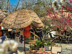 -桃源山庄·水蜜桃采摘·柴火鸡·烧烤团建(龙泉山店)