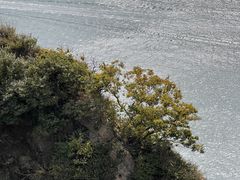 -大连金石滩国家旅游度假区