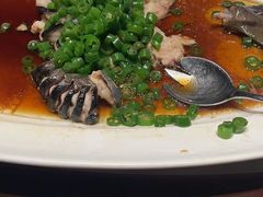 -莲花餐饮(高新店)