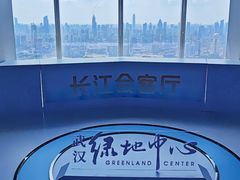 -武汉绿地中心