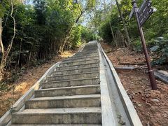 -天鹿湖森林公园
