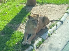 -北京野生动物园