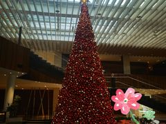 -北京望京凯悦酒店The Lounge大堂酒廊