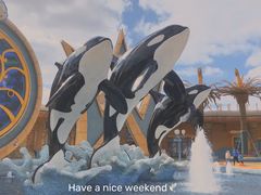 -上海海昌海洋公园