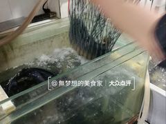 -大理.老字号渝记酸萝卜乌鱼(古城总店)