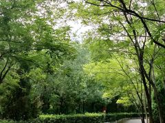 -塘沽森林公园