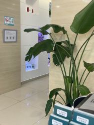 -澳尔颜选医疗美容