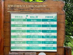 -华侨城湿地公园