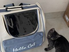 -博特宠物医院24h犬猫全科.骨科·异宠