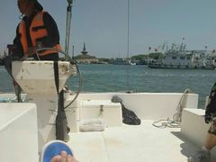 -日照灯塔风景区