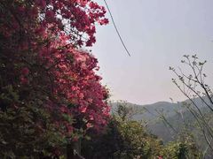 -木兰云雾山