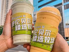 -茉酸奶(春熙路店)