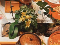 -叶叶菩提(太原别墅店)