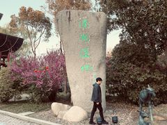 -溱湖国家湿地公园