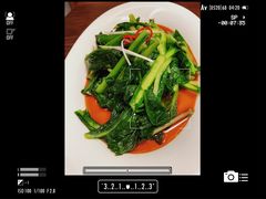 青菜-觅唐MITONG(鸟巢店)