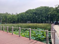 -月湖风景区