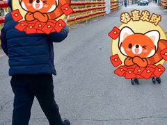 -北京凤凰岭