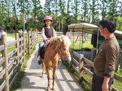 -前小桔亲子创意农场·草莓采摘·露营烧烤