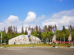 -上海海湾国家森林公园