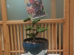 -龍二烧肉酒场(九亭店)