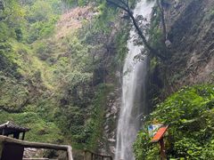 -莫里热带雨林景区
