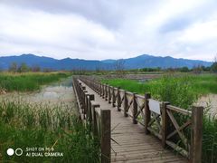 -野鸭湖国家湿地公园