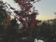 -七彩云南古滇温泉山庄
