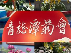 -天津水上公园