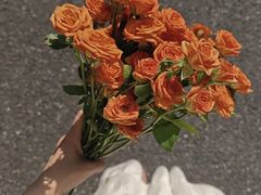 -杭州城北体育公园