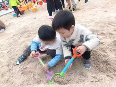 -铁山坪森林公园