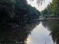 -上海滨江森林公园