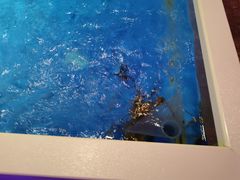 -奥斯汀KTV(金湖店)