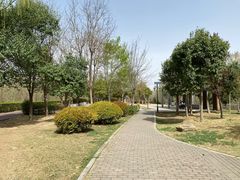 -西苑公园