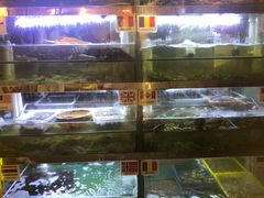 水产区-桥东喜碧海鲜街(水东街店)