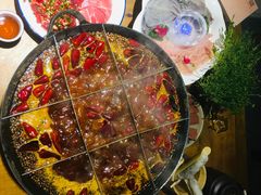 百乐天特供毛肚-白乐天毛肚火锅馆(南滨路店)