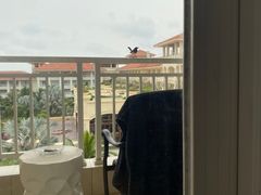 -海口喜来登酒店