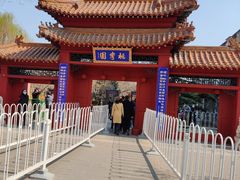 -桃花堤公园