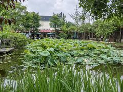 -洪湖家庭农场·团建·露营·会议