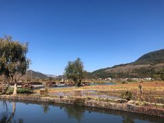 -比顿咖啡(和顺古镇店)