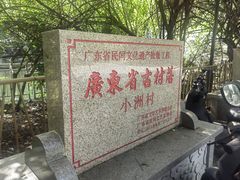 -小洲村