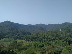 -东莞市虎英郊野公园