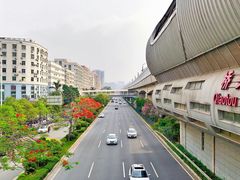 -立新湖公园