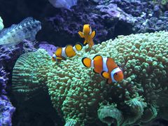 -长沙海底世界