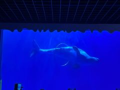 -多彩贵州城极地海洋世界